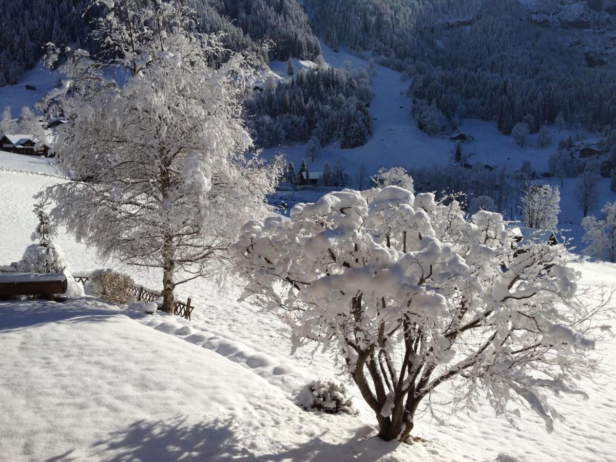 Apartment Chalet Baergsunna-1 By Interhome Grindelwald Bagian luar foto